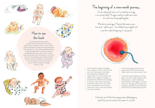 Aquabeads - Fairy World Bead Kit – SANNA baby and child