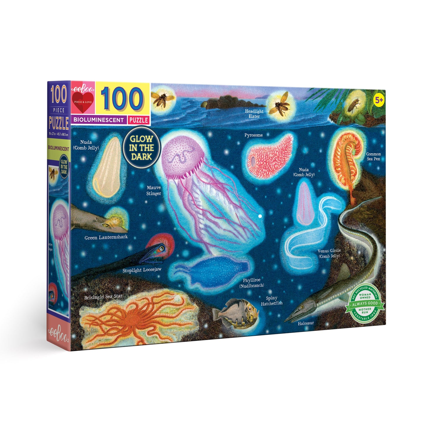 eeBoo - Bioluminescent 100 Piece Puzzle