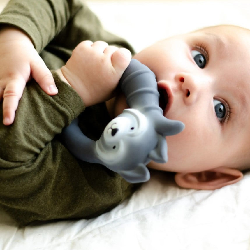 Natural Rubber Teether - Raccoon