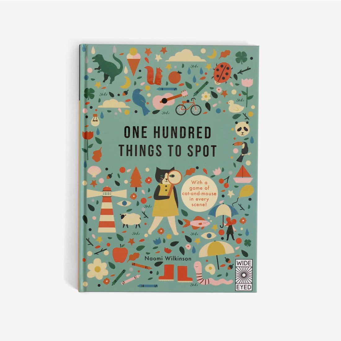 One Hundred Things To Spot by Naomi Wilkinson