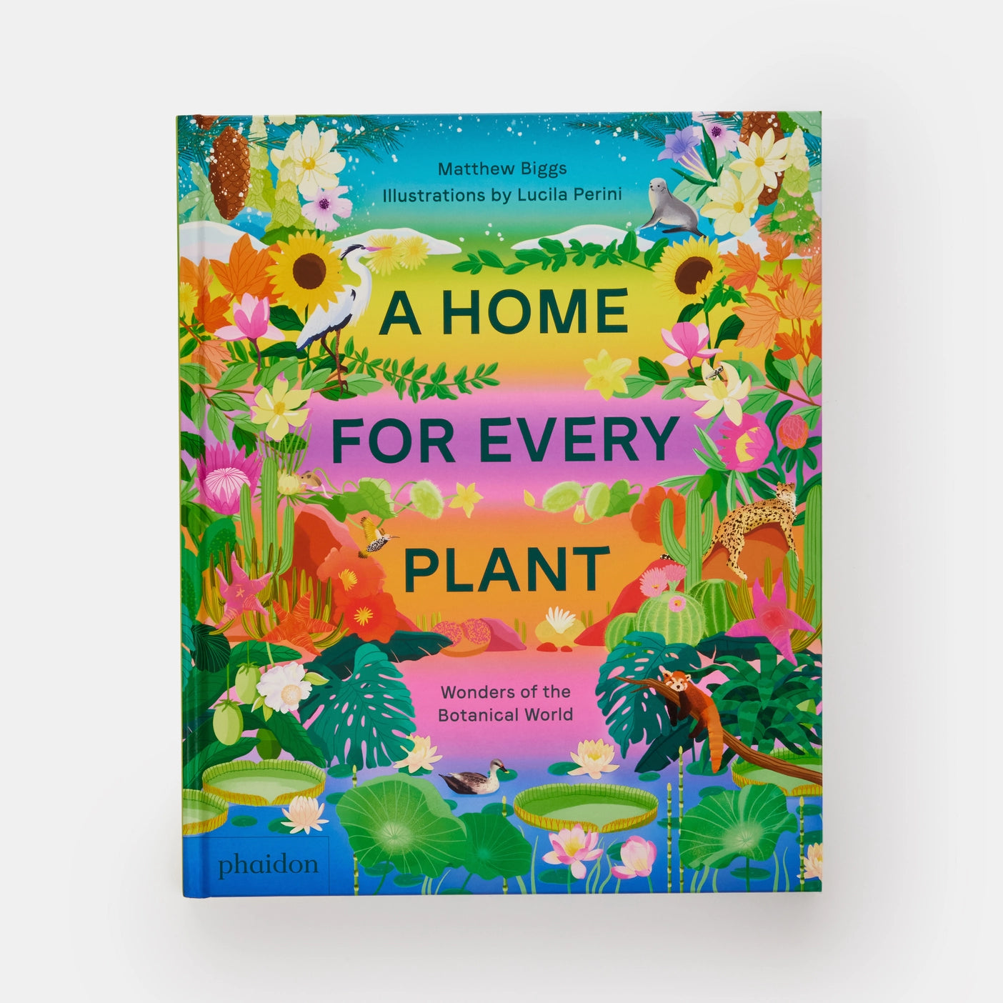 A Home For Every Plant - Matthew Biggs