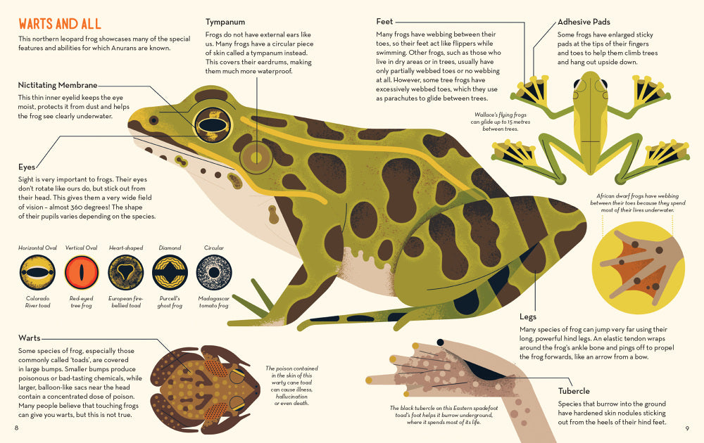 Fanatical About Frogs - Owen Davey