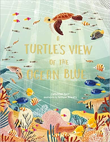 A Turtle’s View of the Ocean Blue - Catherine Barr