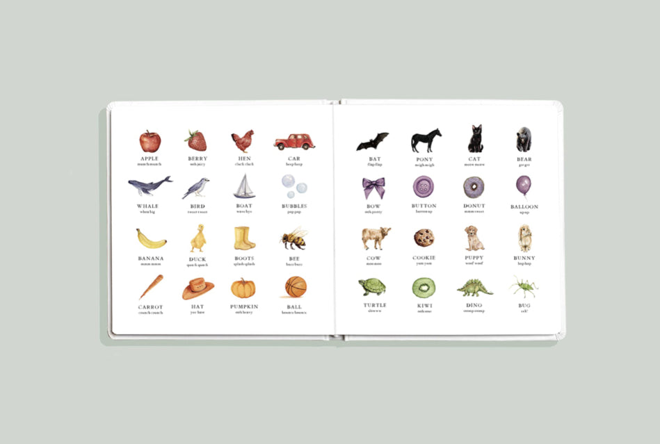 Wish Washy - A First Words + Colors Book - Tabitha Paige