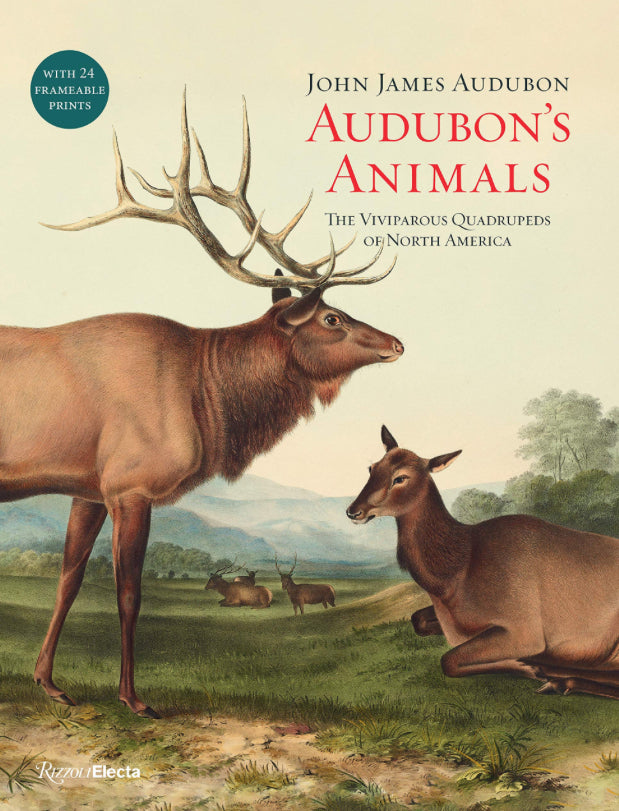 Audubon's Animals; The Viviparous Quadrupeds of North America- John James Audubon