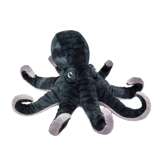 Douglas - Winky Octopus