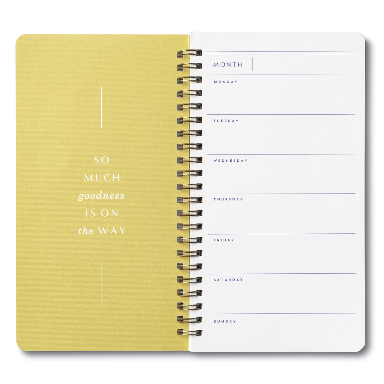 Compendium - Today Should Always Be Our Most Wonderful Day - Undated Weekly Planner