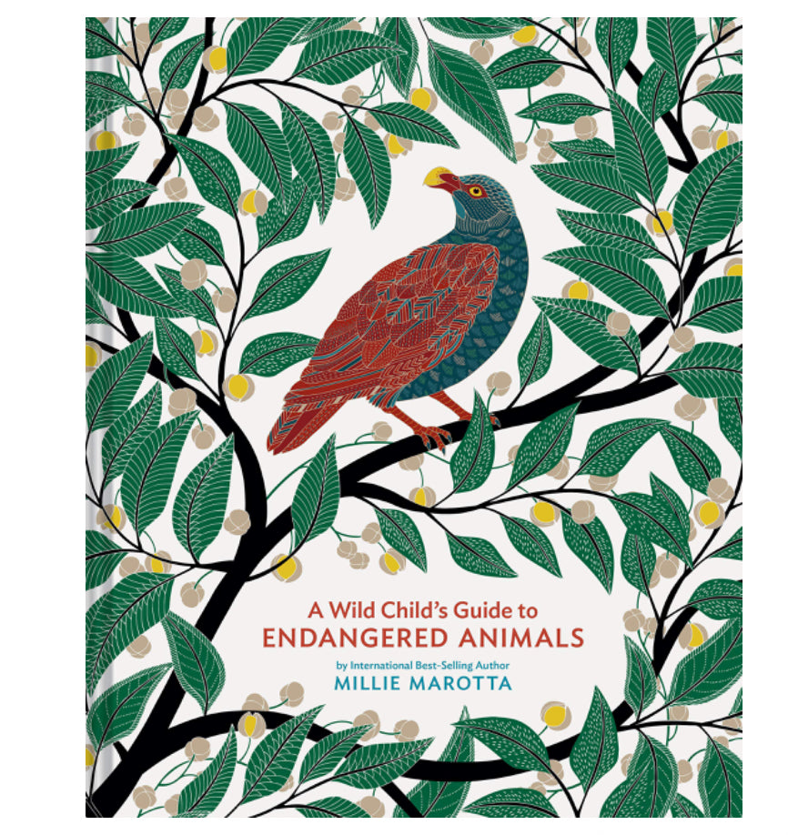 A Wild Child’s Guide to Endangered Animals - Millie Marotta
