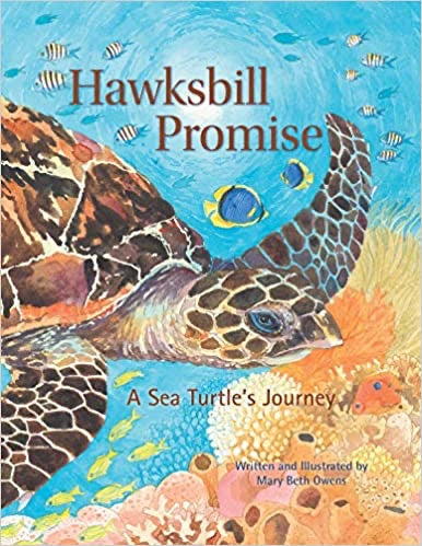Hawksbill Promise; A Sea Turtle’s Journey by Mary Beth Owens