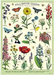 Cavallini- Vintage Poster- Pollinator Garden
