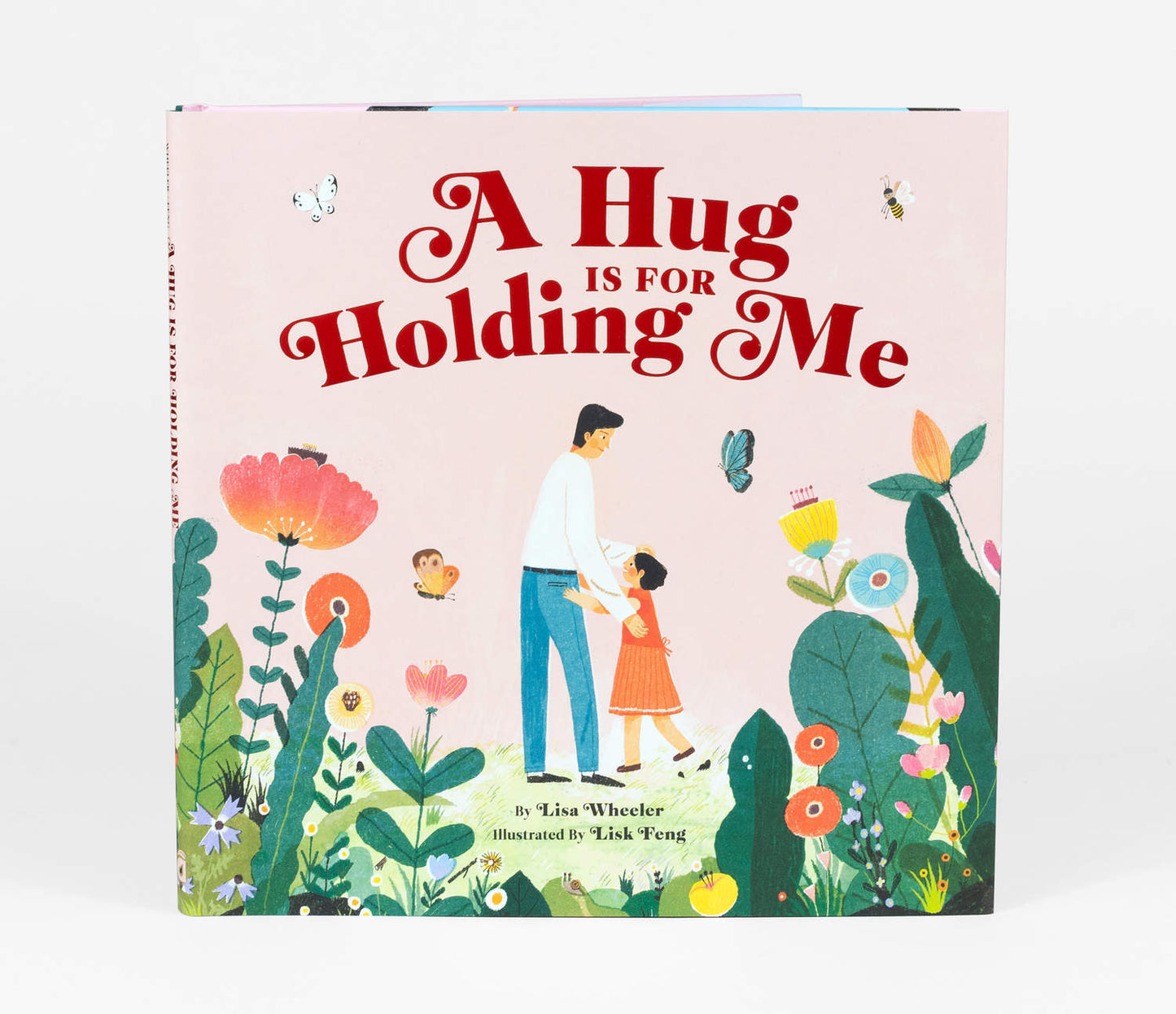 A Hug is for Holding Me - Lisa Wheeler